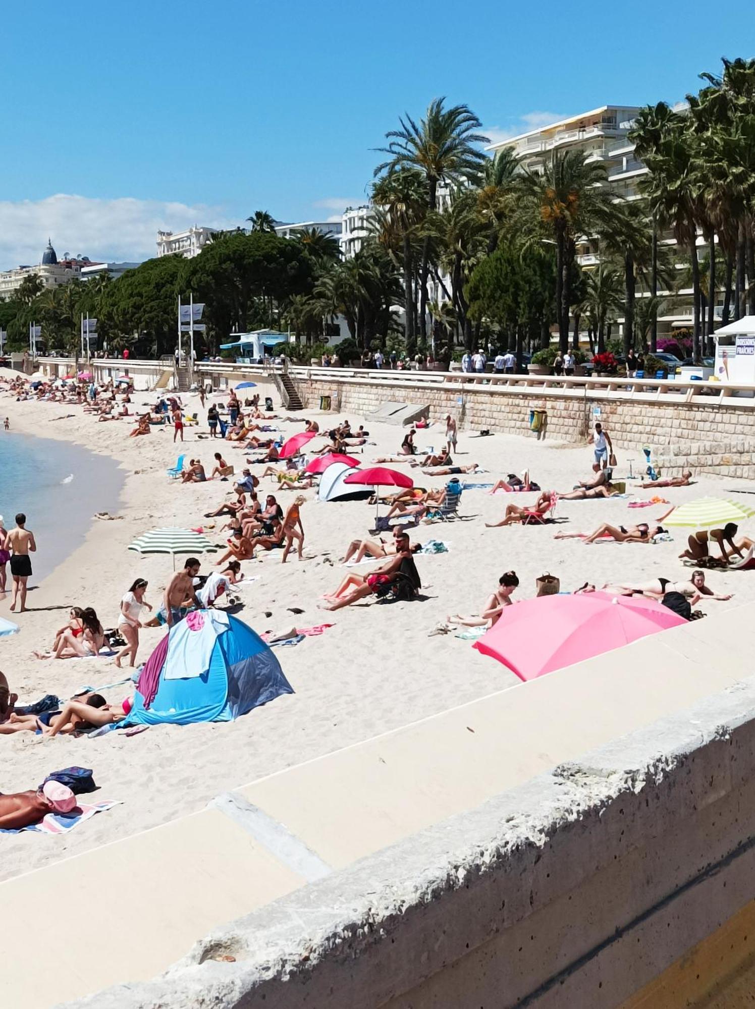 Le Salvator Daire Cannes Dış mekan fotoğraf